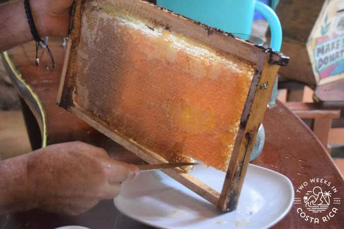 Honey from the farm