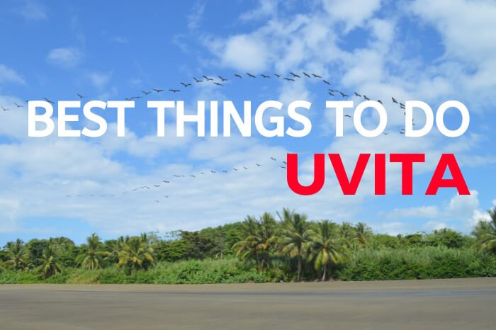 pelicans flying over a beach with text overlay that reads best things to do uvita costa rica