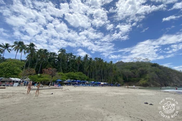 a green backing of palm trees and white sand beach