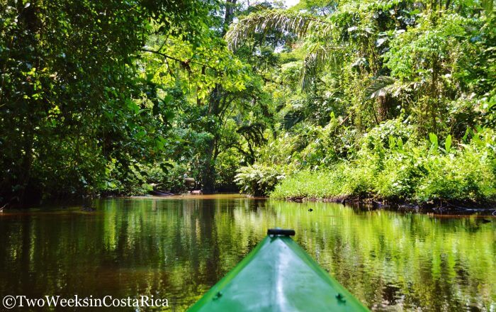 green kayak on calm river in Tortuguero Costa Rica with lush plants and trees
