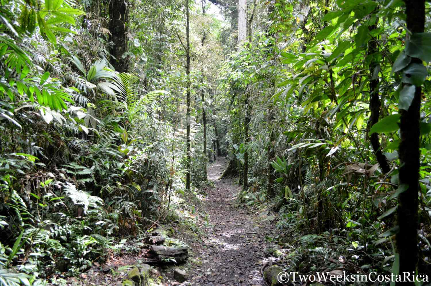 Catarata del Toro View from trail