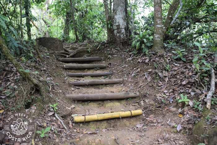 Trail Madre Verde