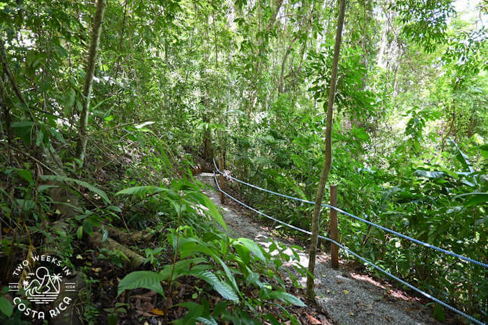 Trail conditions at Nauyaca Park