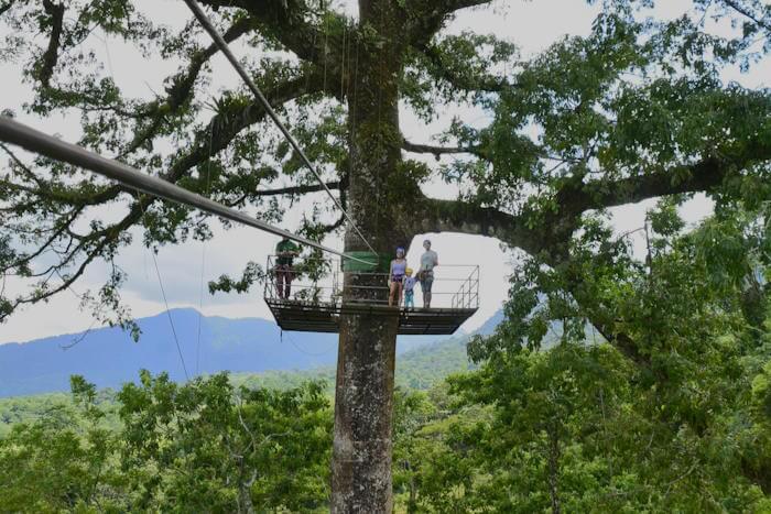 Platform in tree
