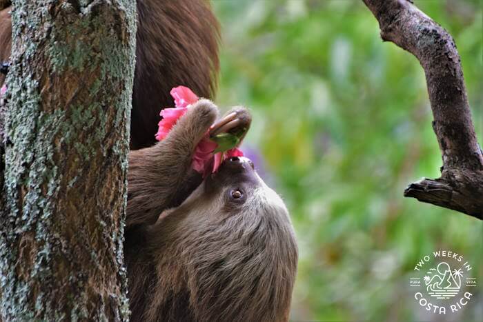 Helga Sloth