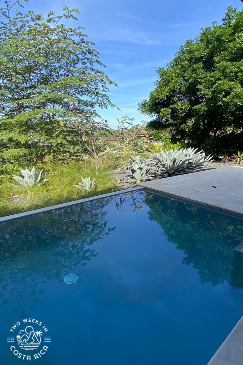 blue infinity pool