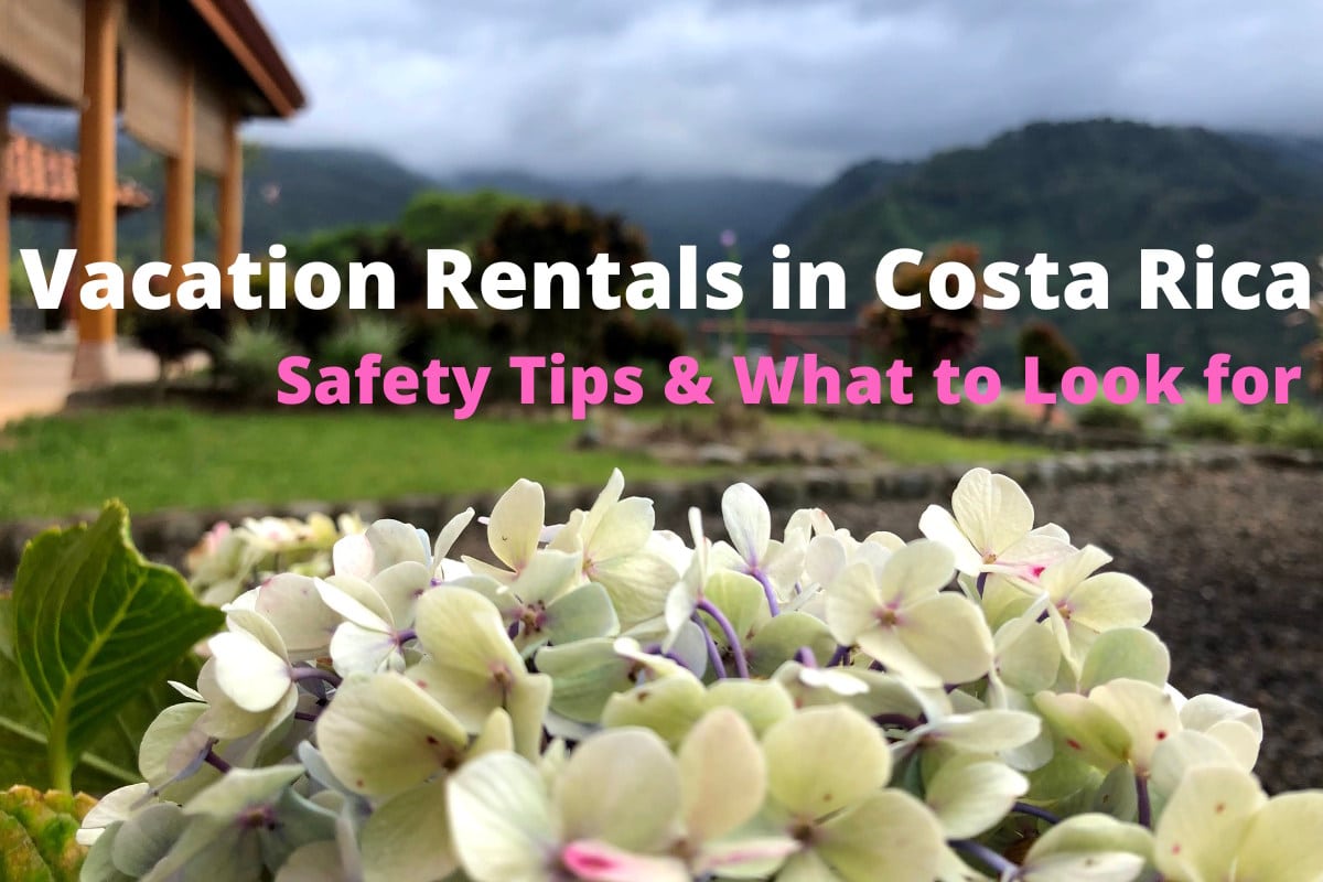 close up of hydrangeas with a house in the background and text that reads vacation rentals in costa rica