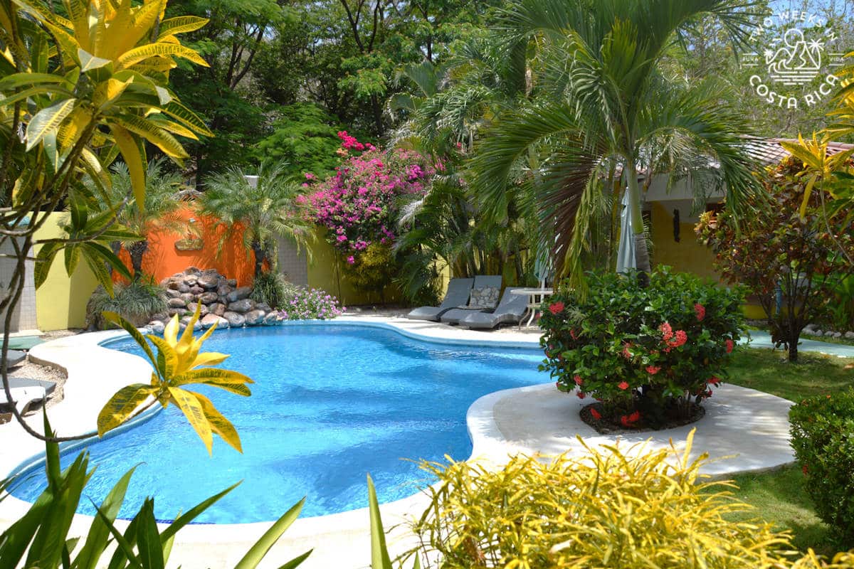 a pool with palm trees and gardens