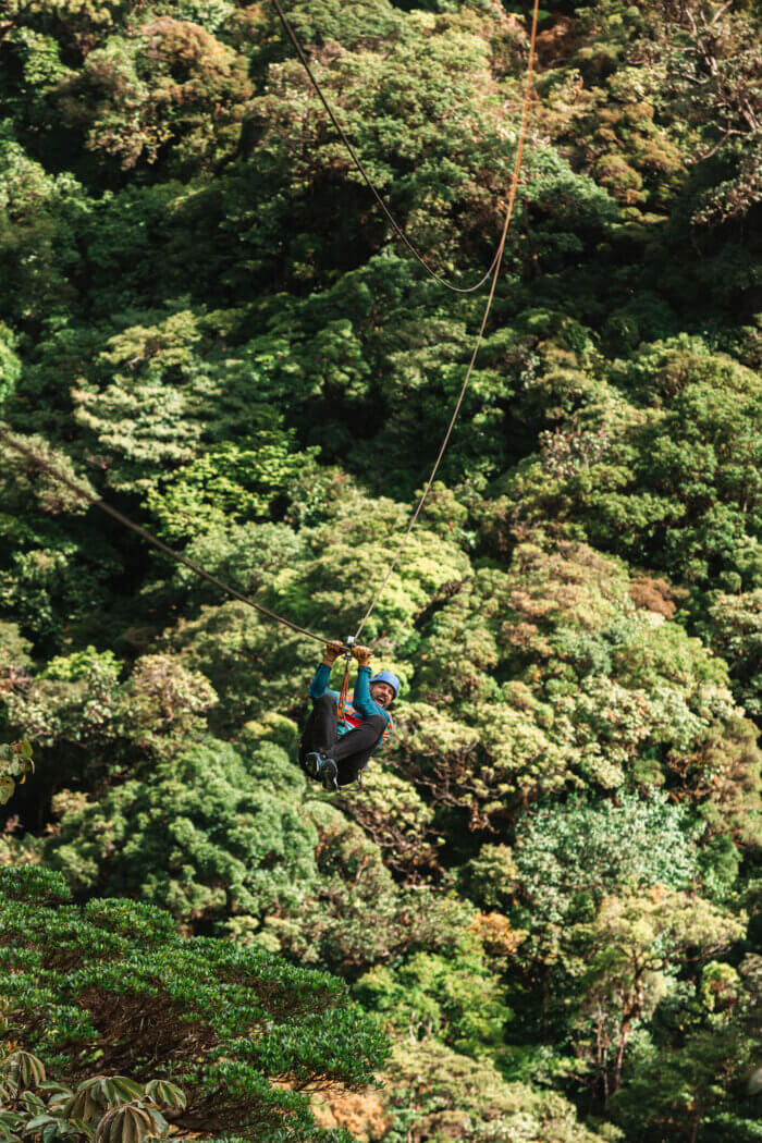 thick green forest with person on zipline cable