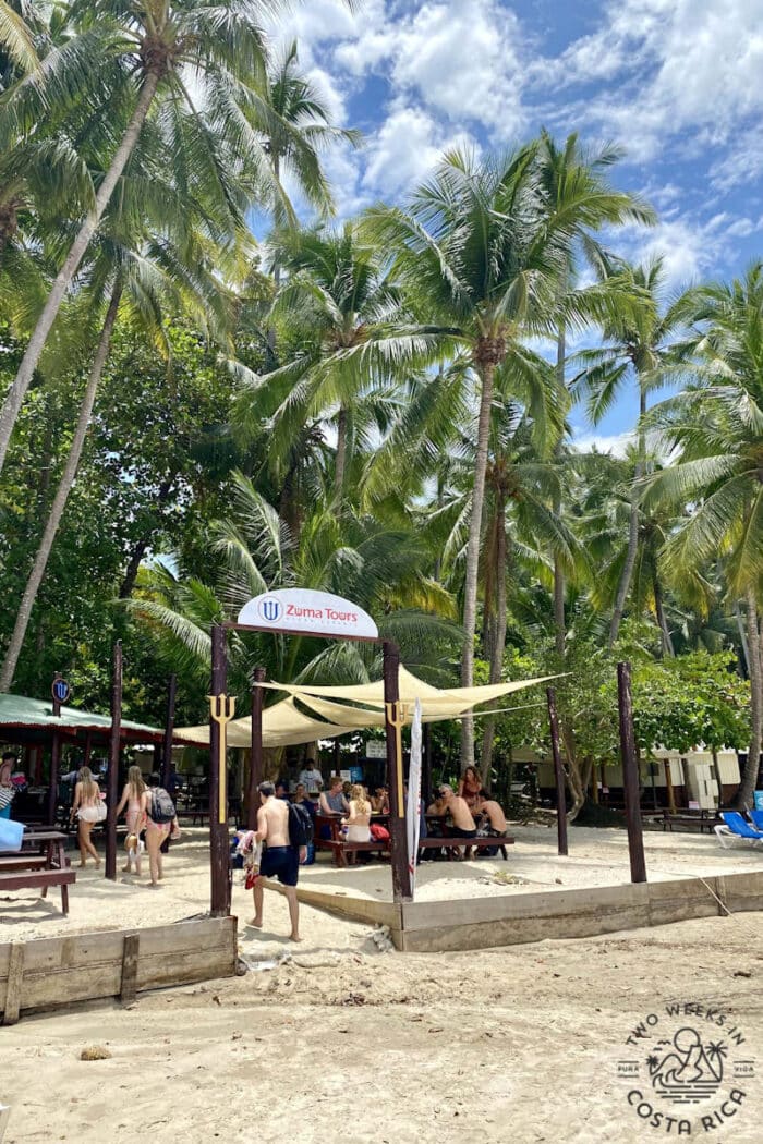 A rancho set up under the palm trees at Tortuga Island